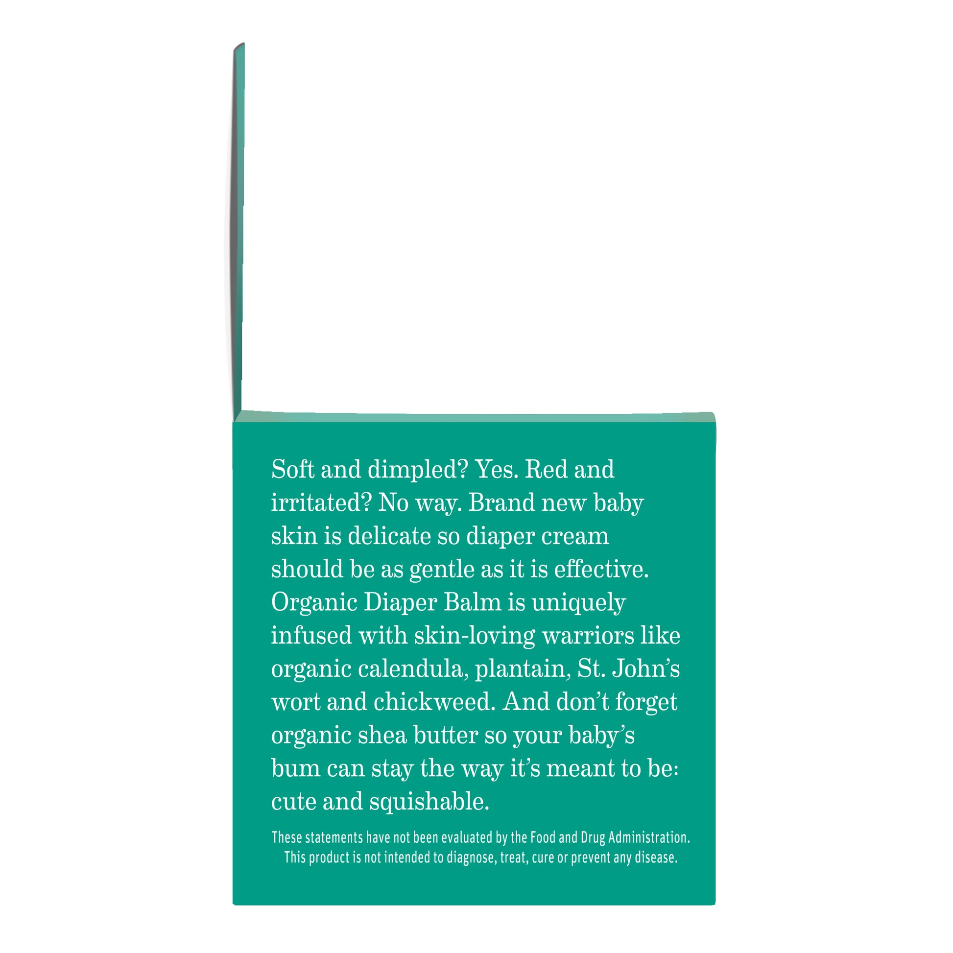 Earth Mama Organics - Diaper Balm