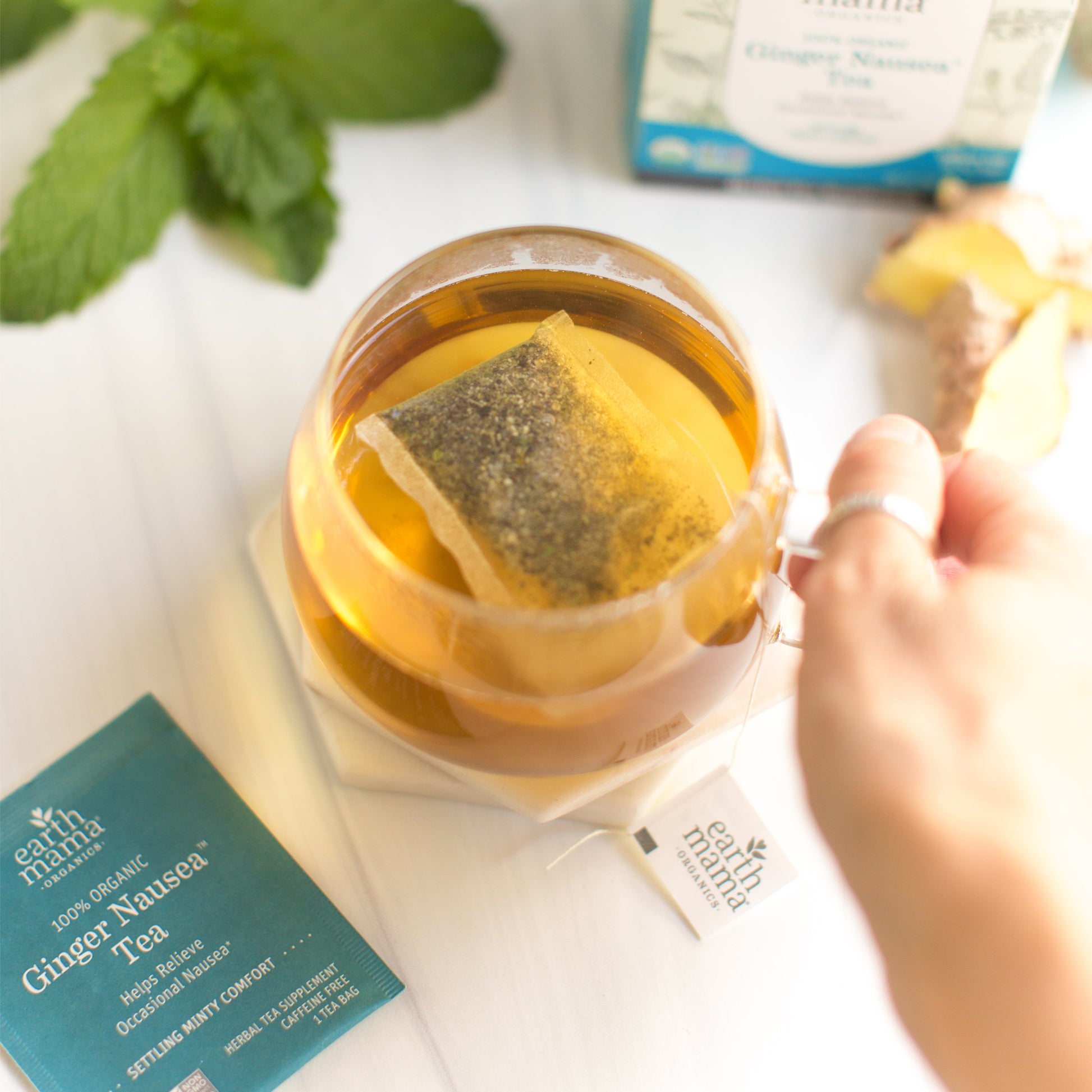 Earth Mama Organics - Ginger Nausea Tea