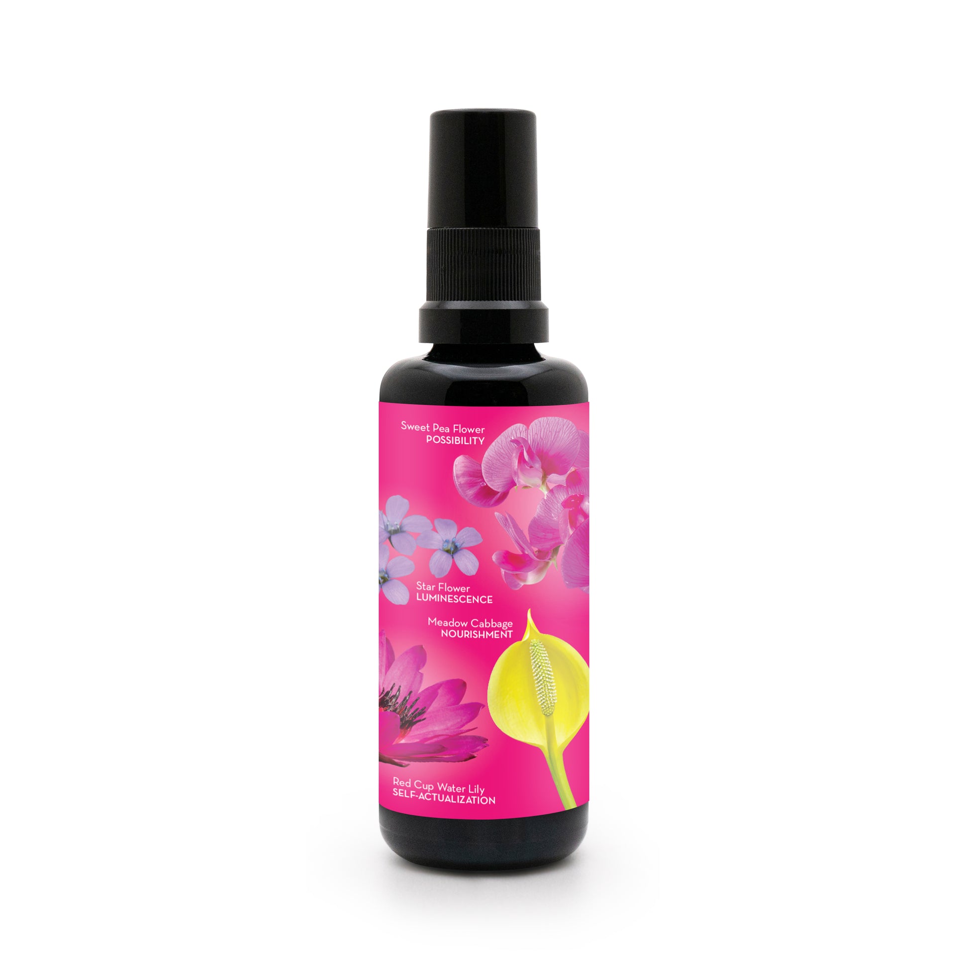 Lotuswei - Expansive Presence Aura Mist