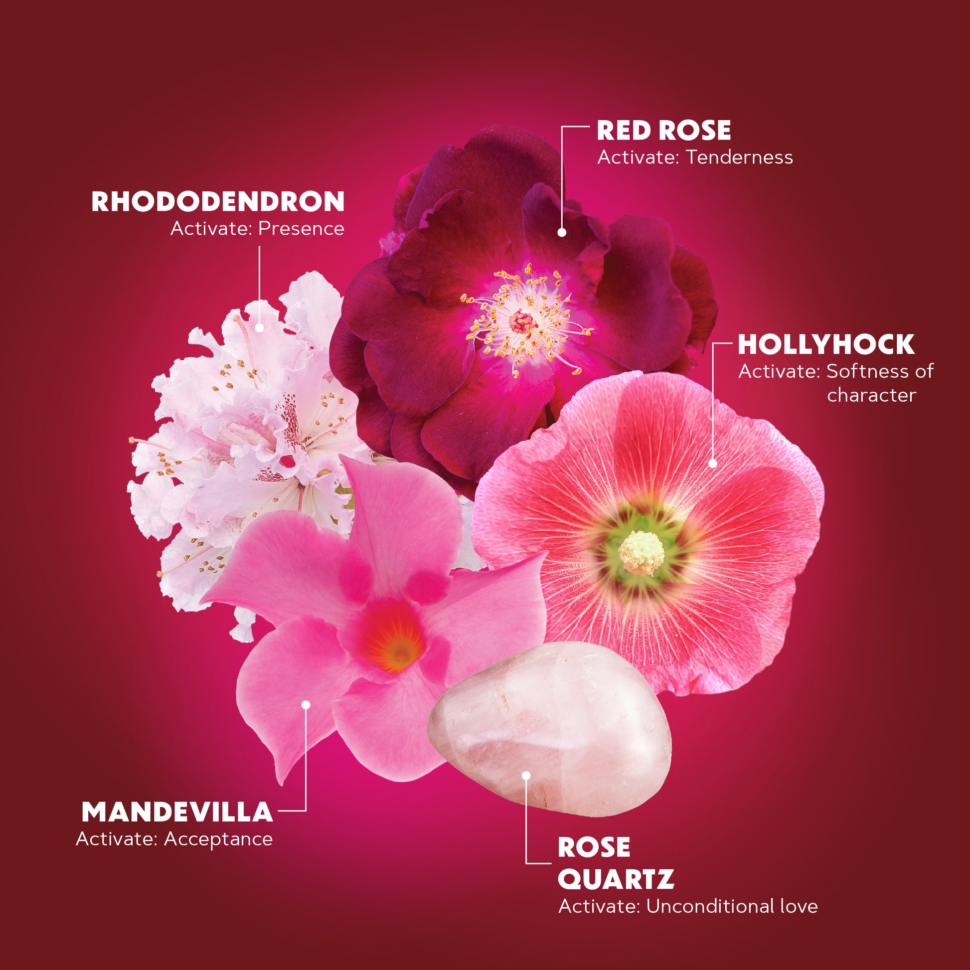 Lotuswei - Fierce Compassion Aura Mist