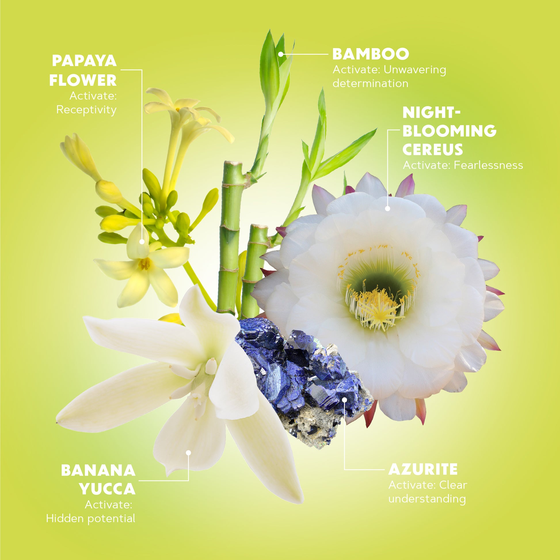 Lotuswei - Full Bloom Aura Mist