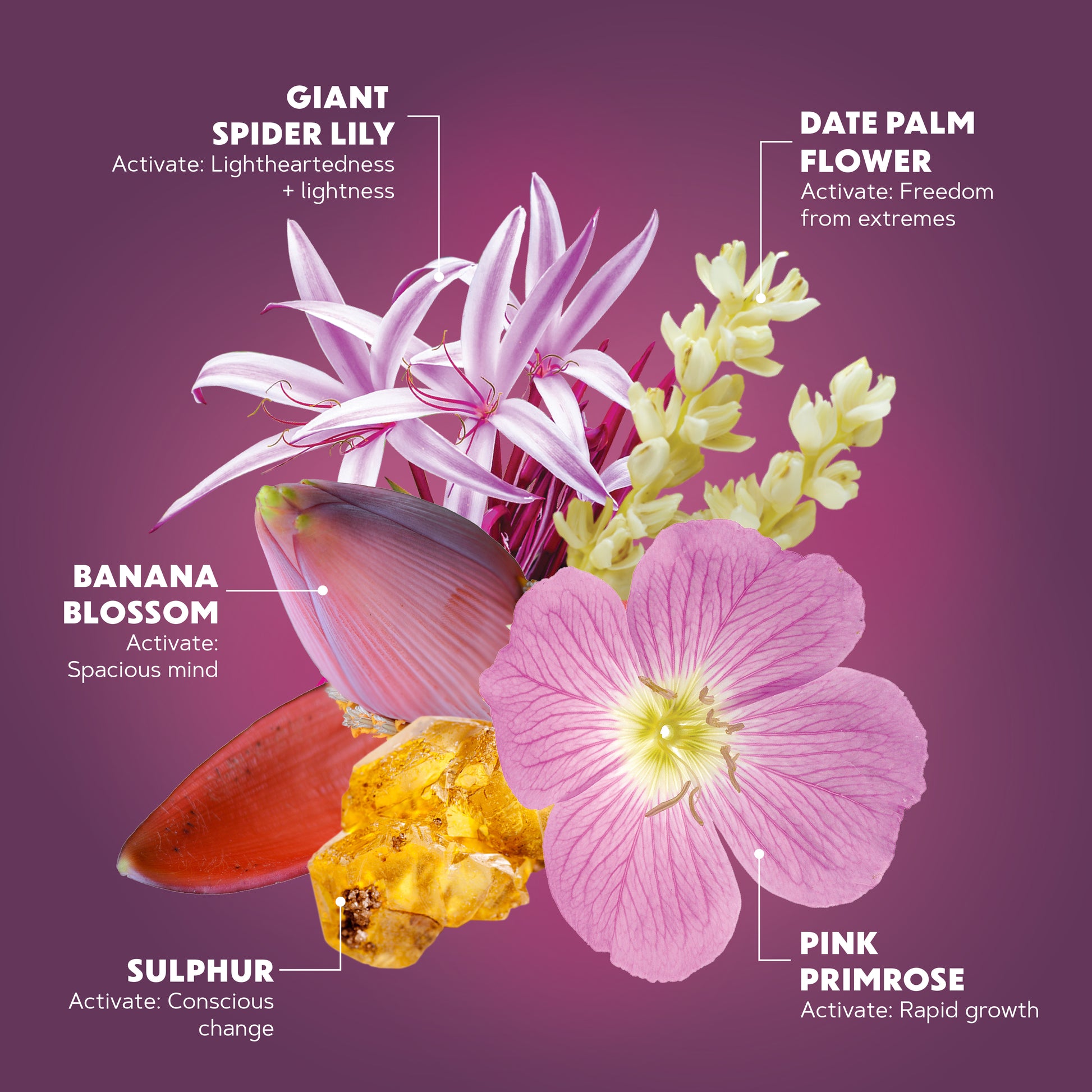 Lotuswei - Gamechanger Aura Mist