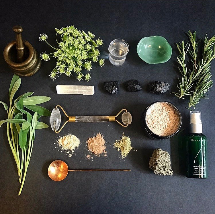 Dr. Alkaitis - Organic Purifying Facial Cleanser