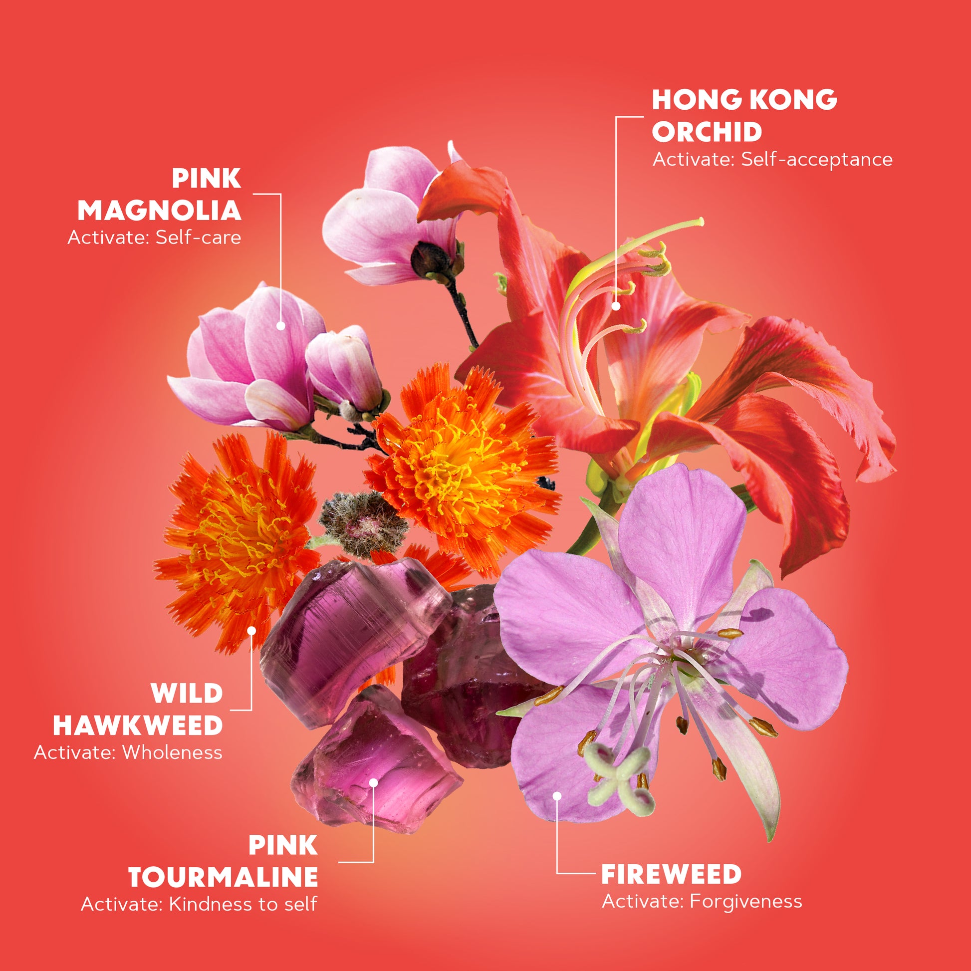 Lotuswei - Infinite Love Aura Mist