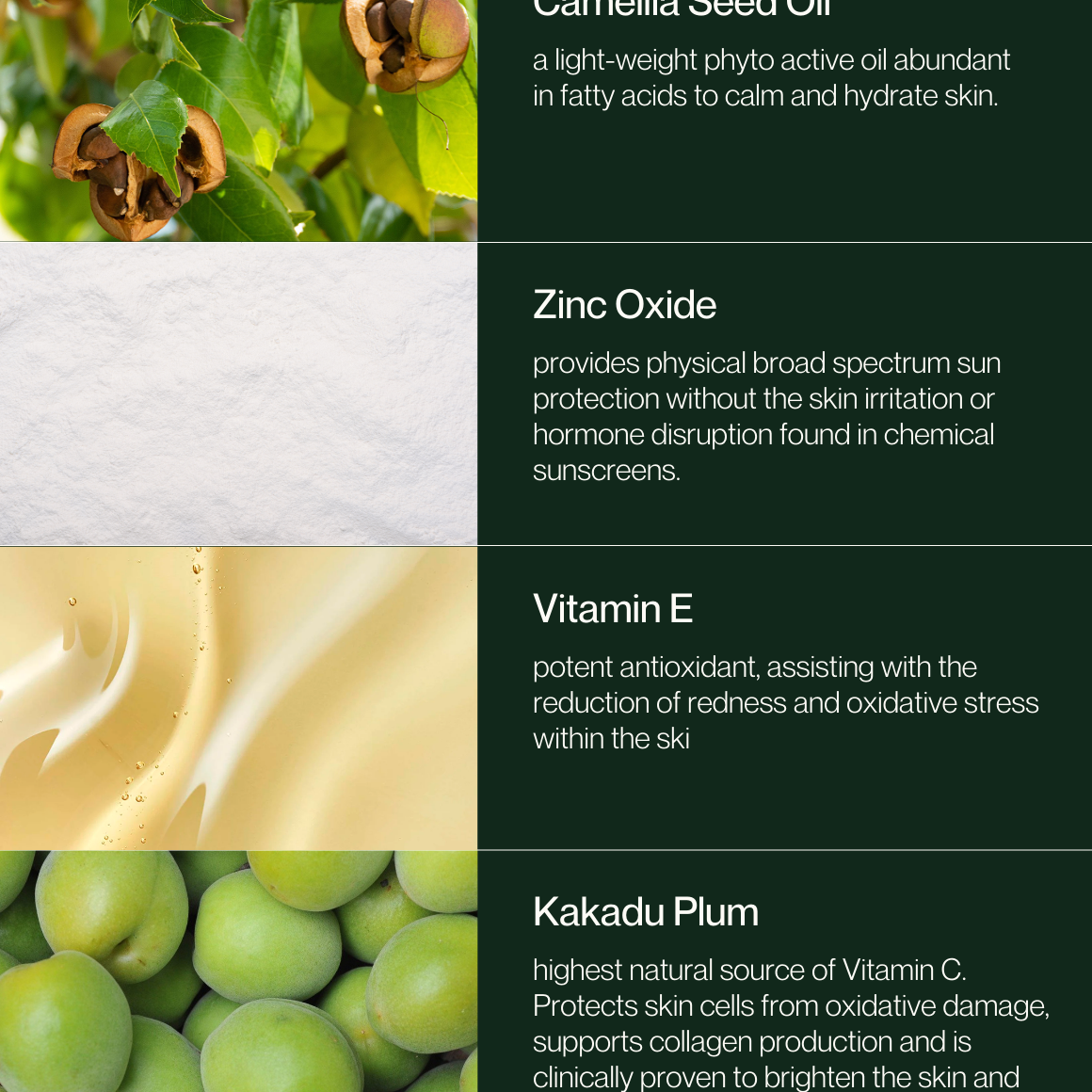 Edible Beauty AU - Basking Beauty Sunscreens (SPF50)