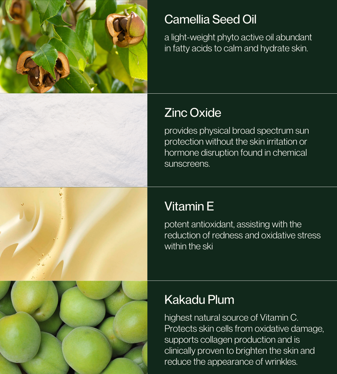 Edible Beauty AU - Basking Beauty Sunscreens (SPF50)