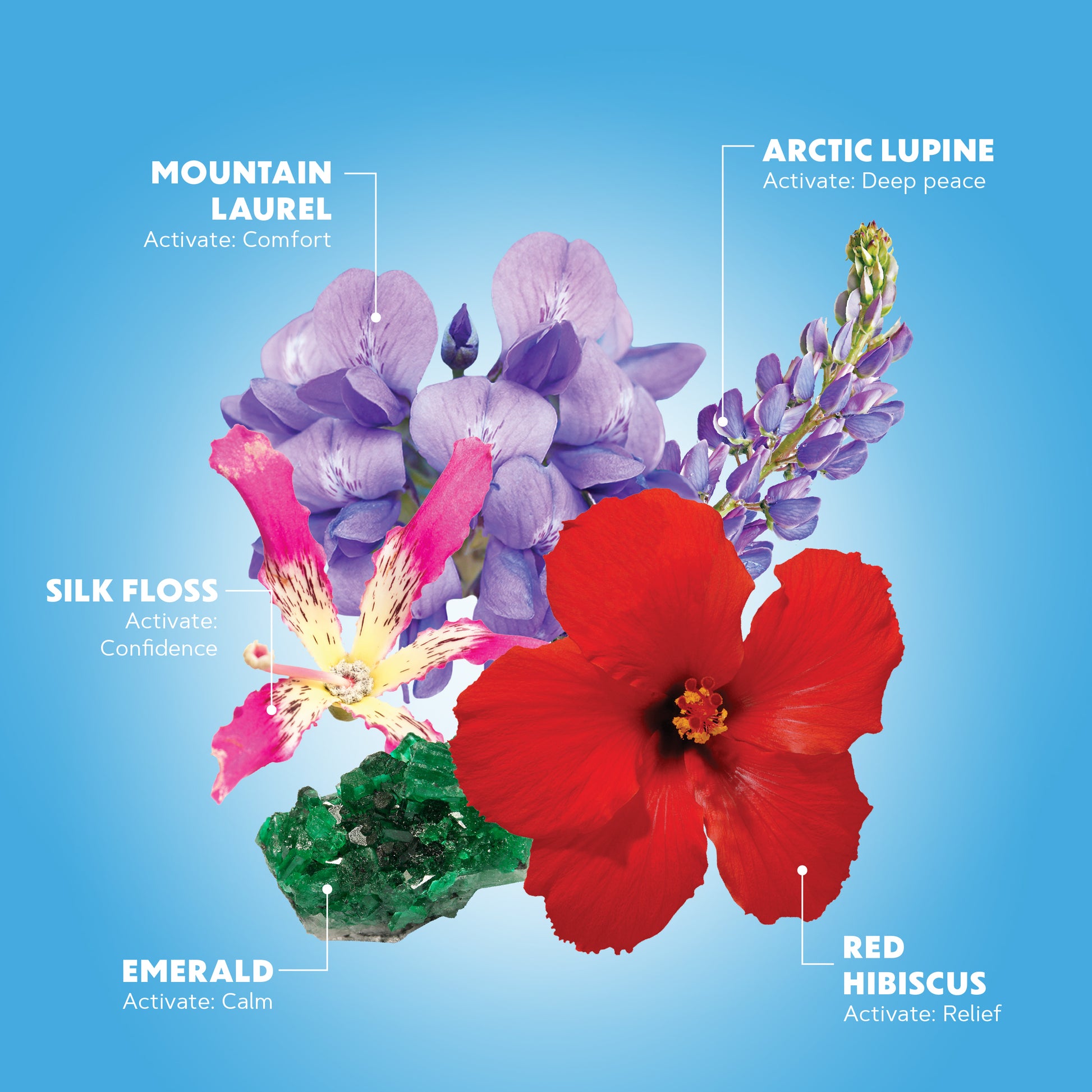 Lotuswei - Inner Peace Aura Mist