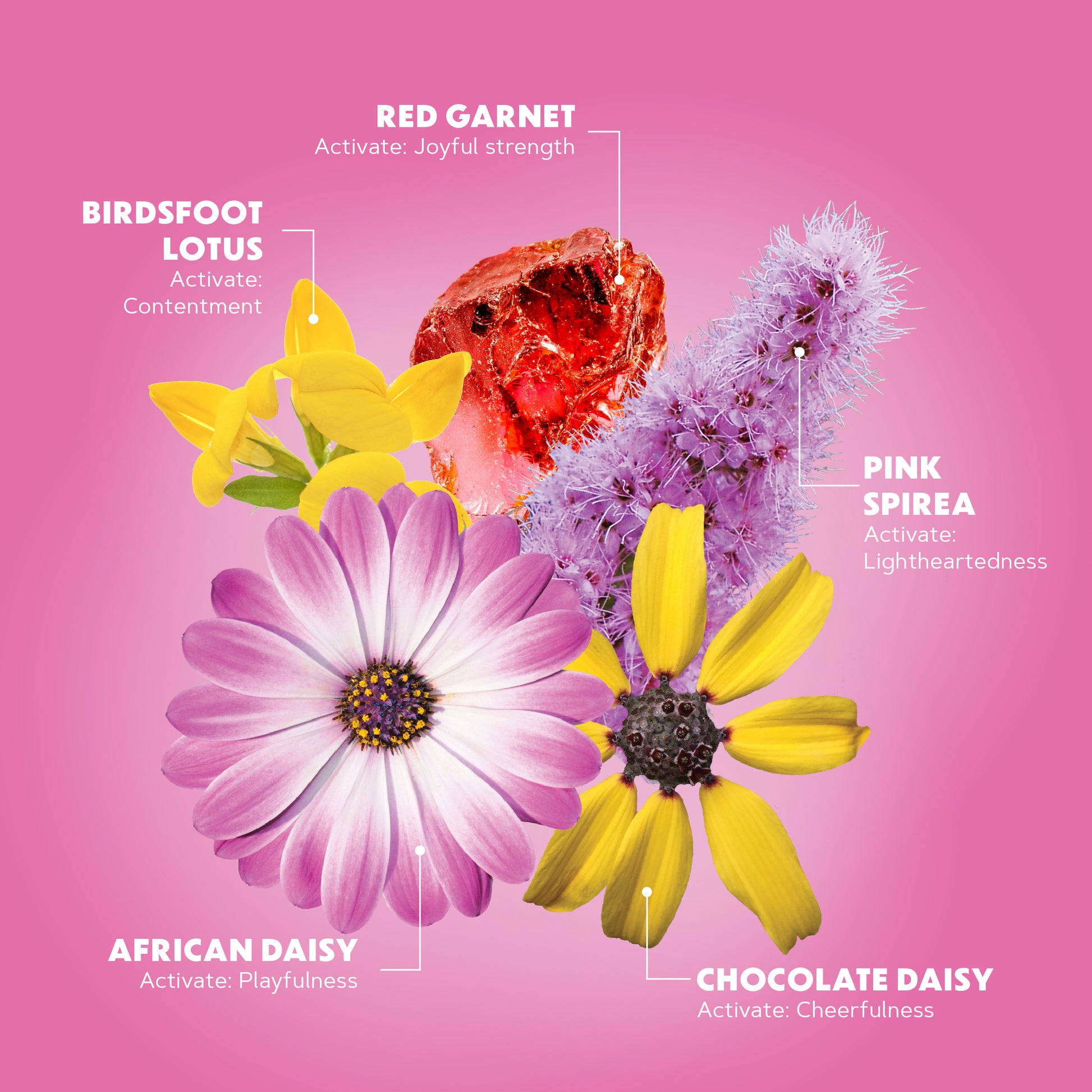 Lotuswei - Joy Juice Aura Mist