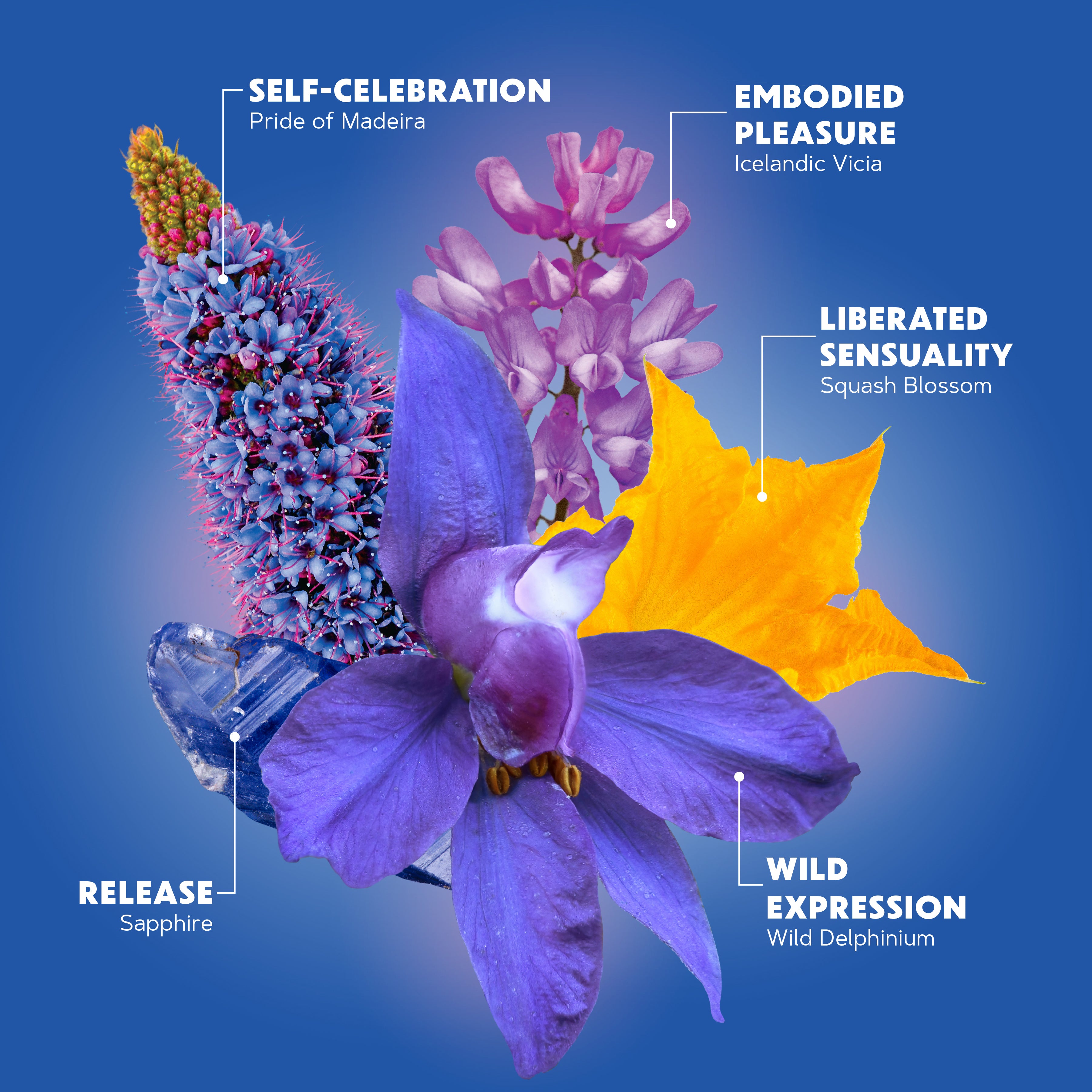 Lotuswei - Luscious Embodiment Aura Mist