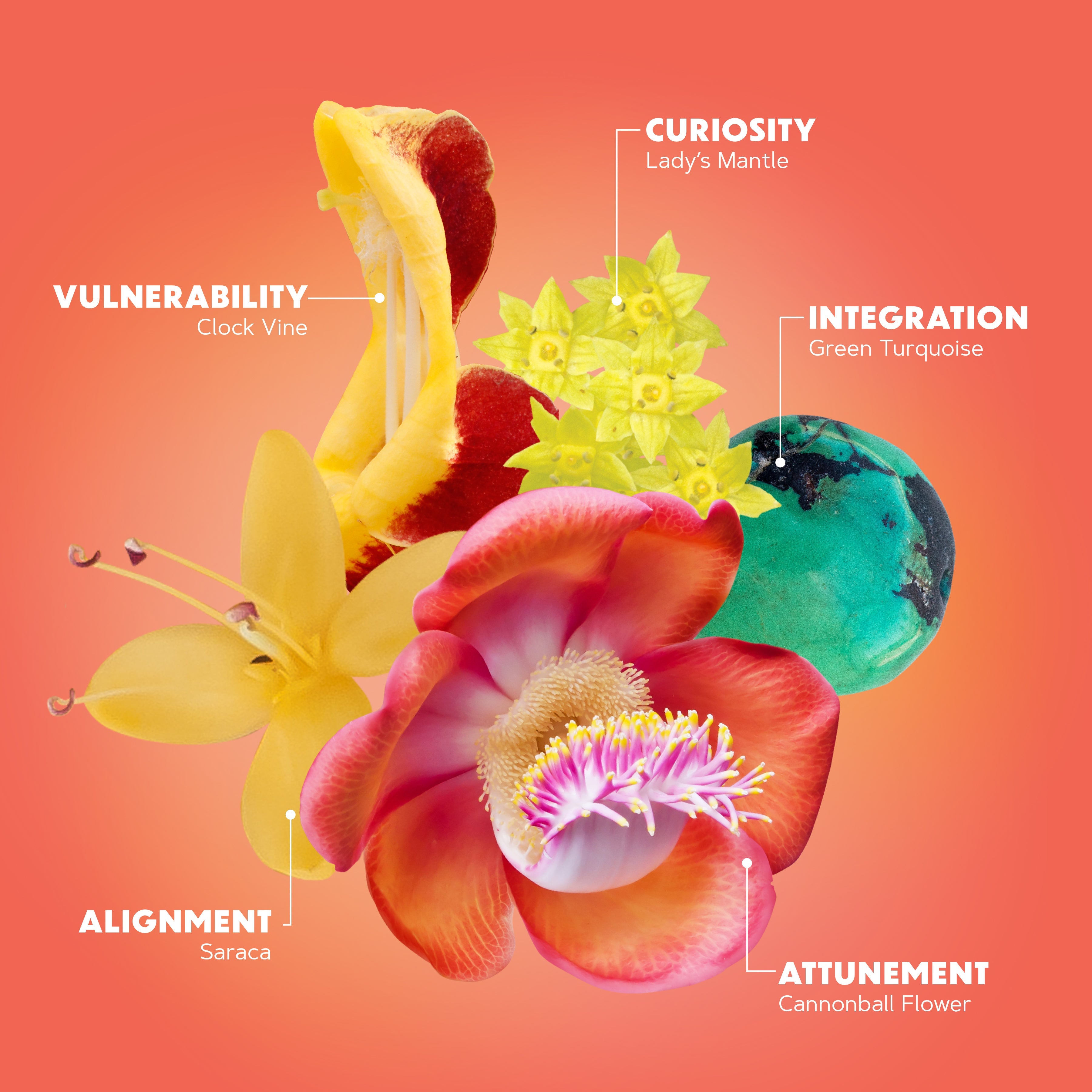 Lotuswei - Open Heart Aura Mist