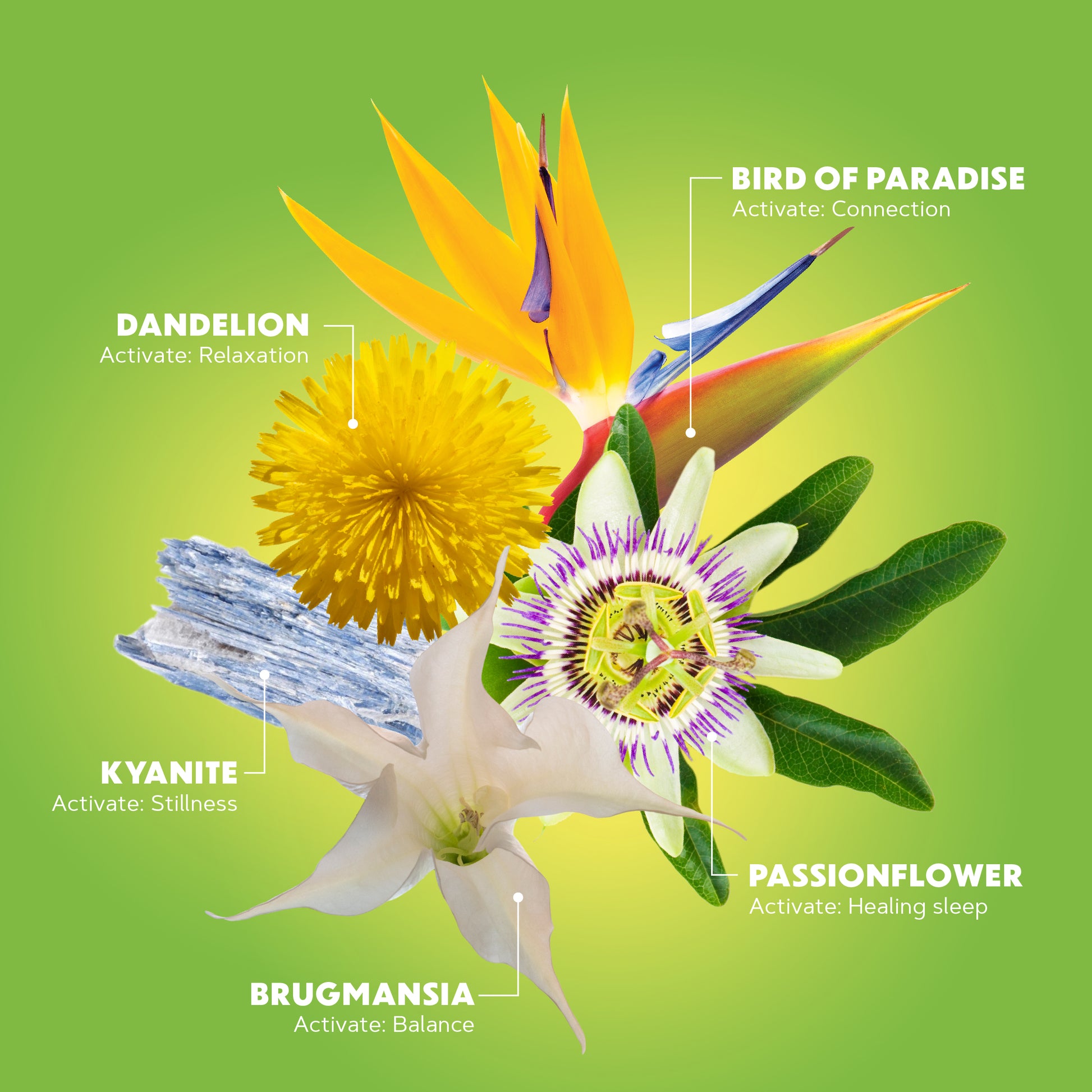 Lotuswei - Quiet Mind Bath Salt