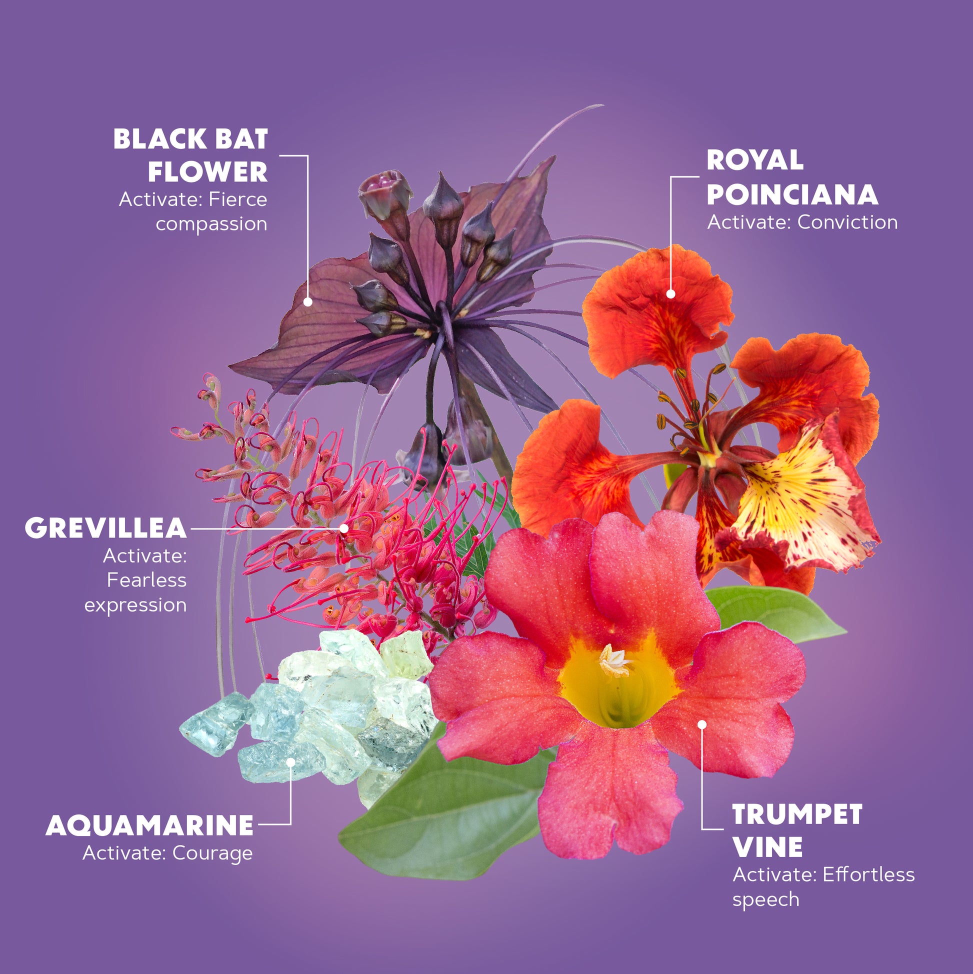 Lotuswei -Truthteller Aura Mist