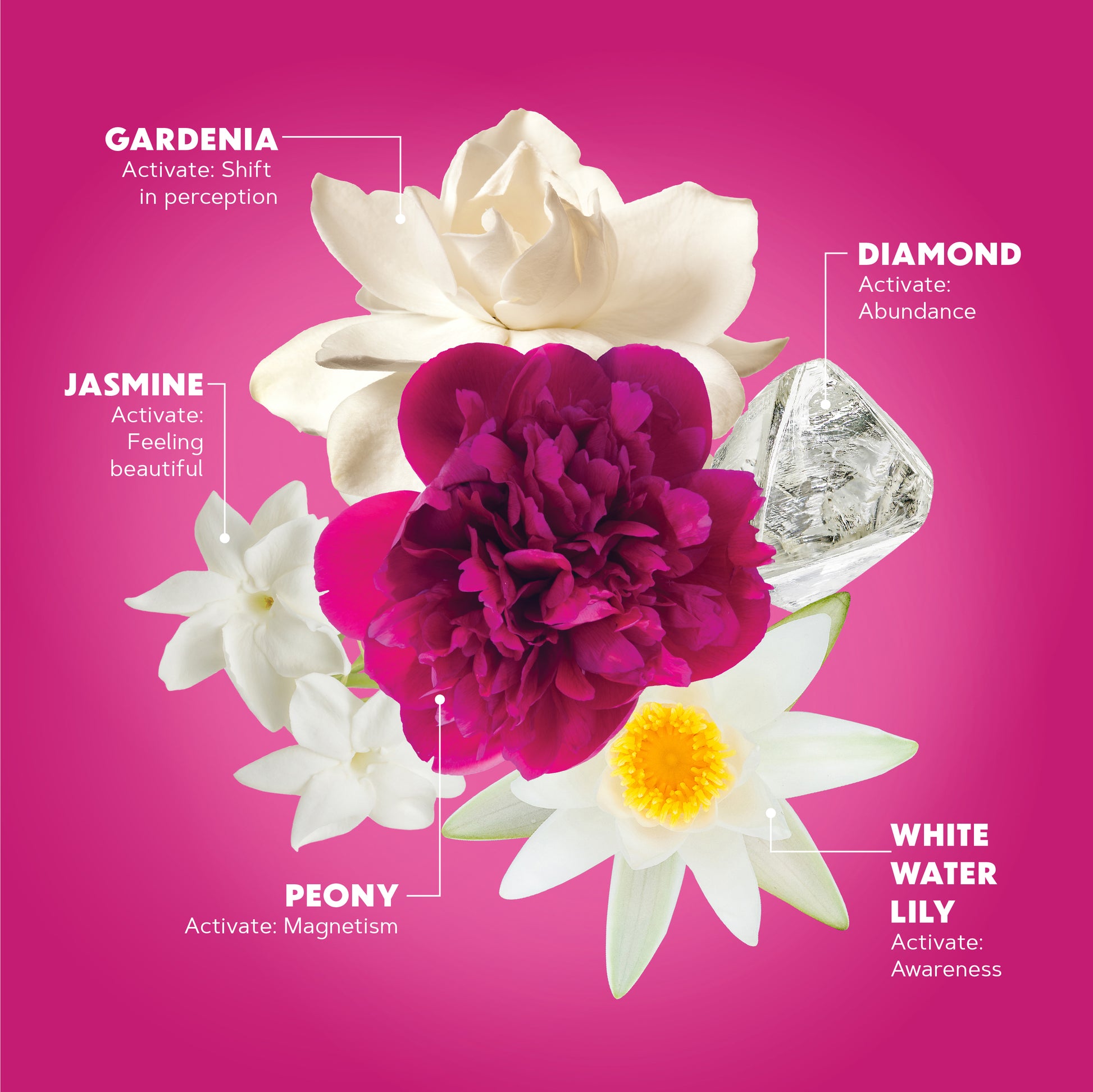 Lotuswei - Wild Abundance Aura Mist