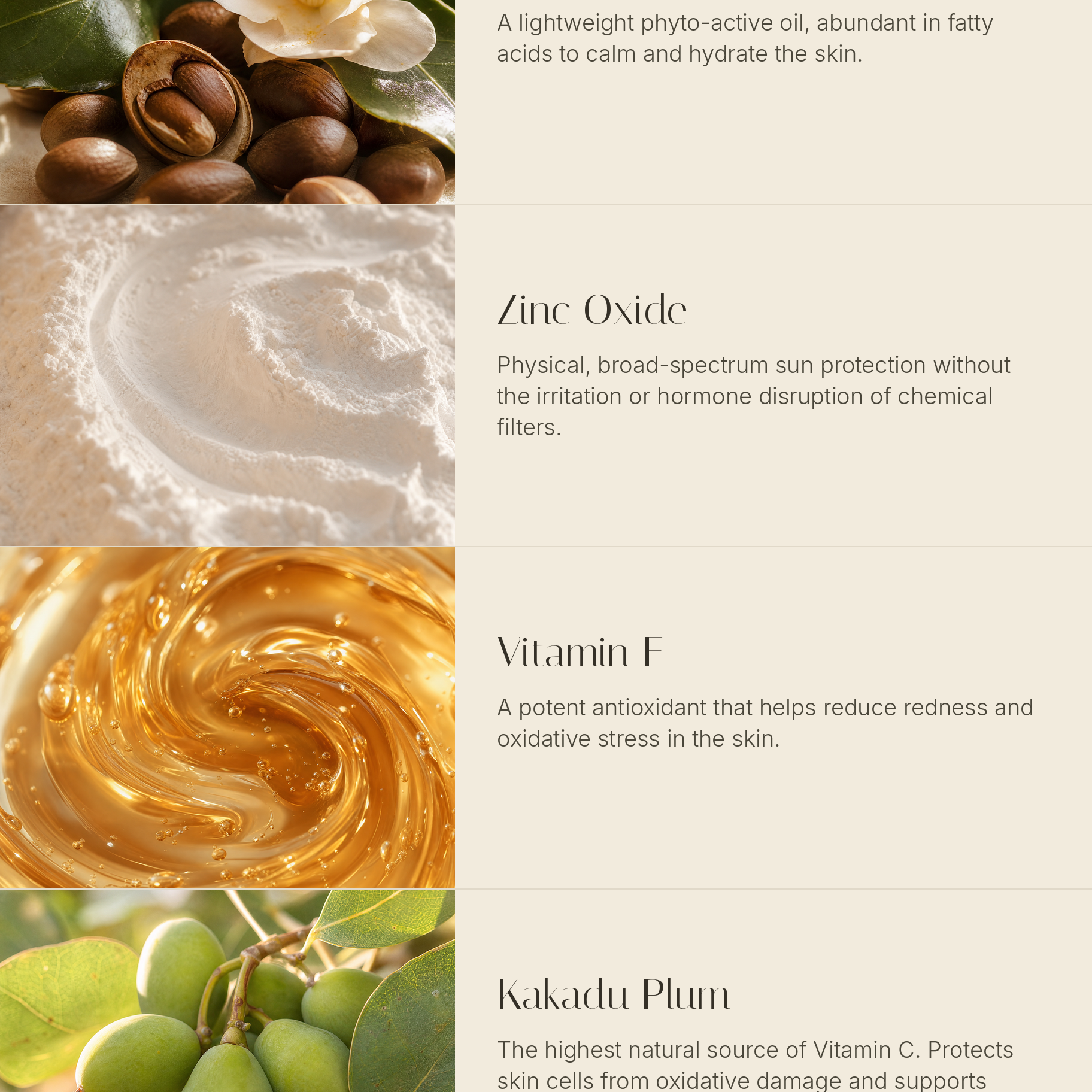 Edible Beauty AU - Basking Beauty Sunscreens (SPF50)