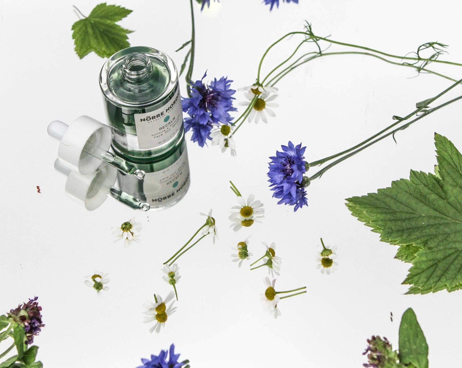 NÖRRE NORDIC - RECALM Soothing & Repairing Face Oil Serum