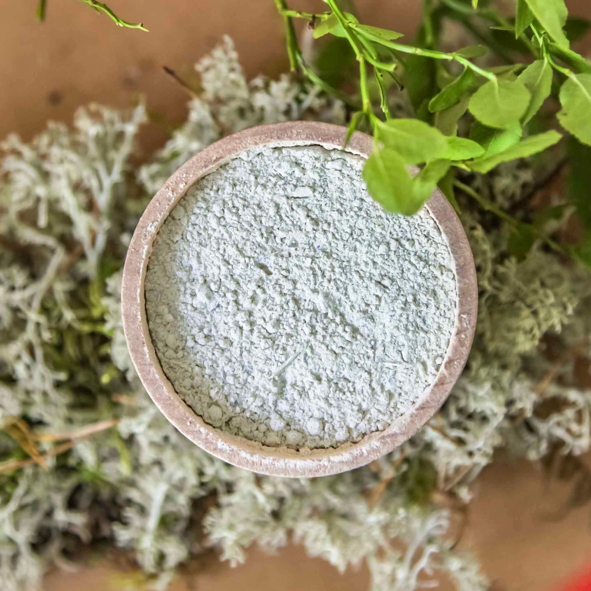 NÖRRE NORDIC - RECALM Probiotic Herbal Face Mask