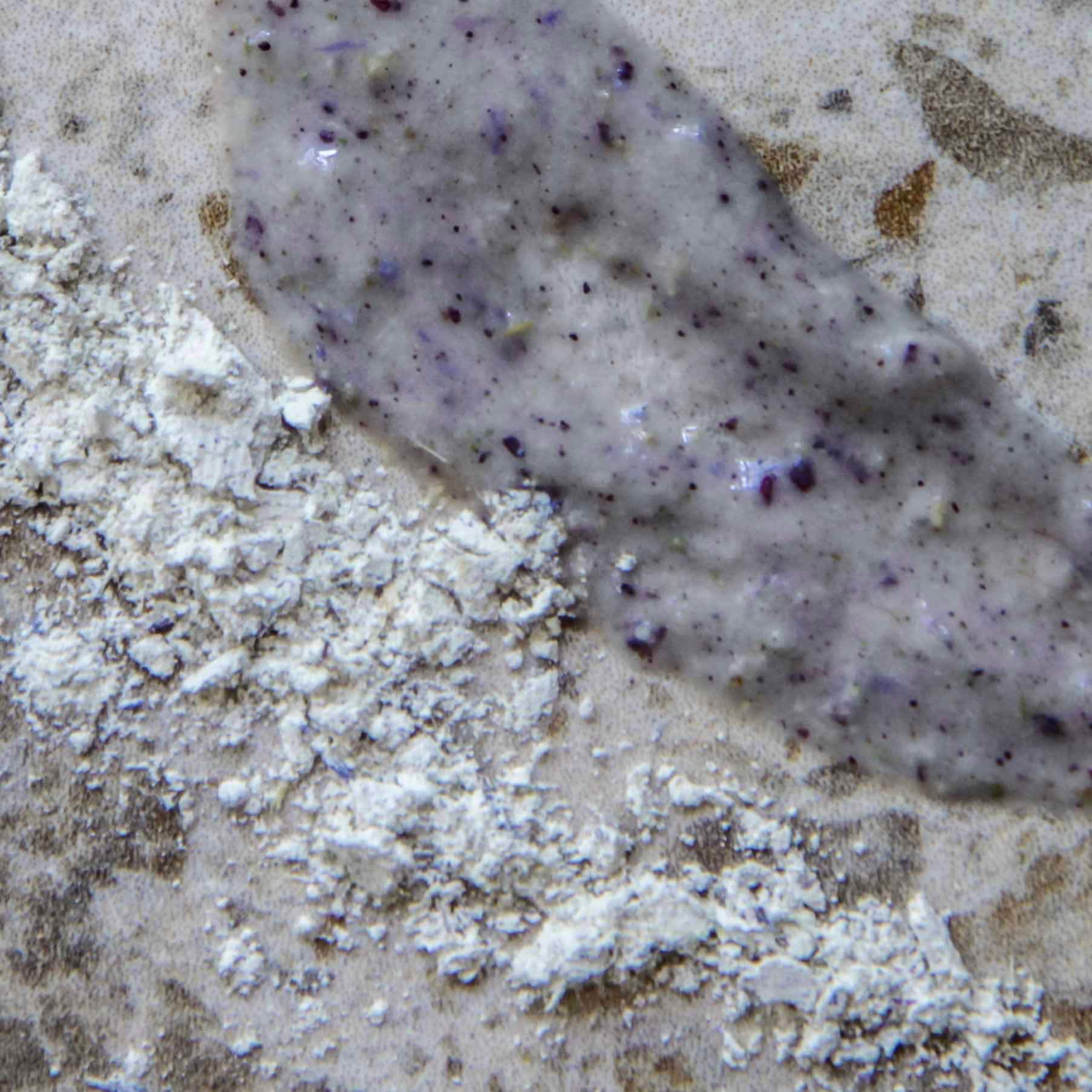 NÖRRE NORDIC - RECALM Probiotic Herbal Face Mask