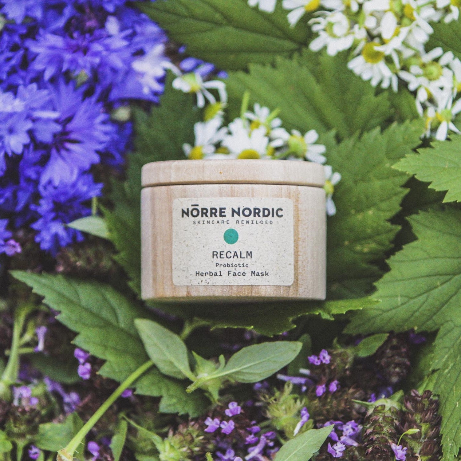NÖRRE NORDIC - RECALM Probiotic Herbal Face Mask