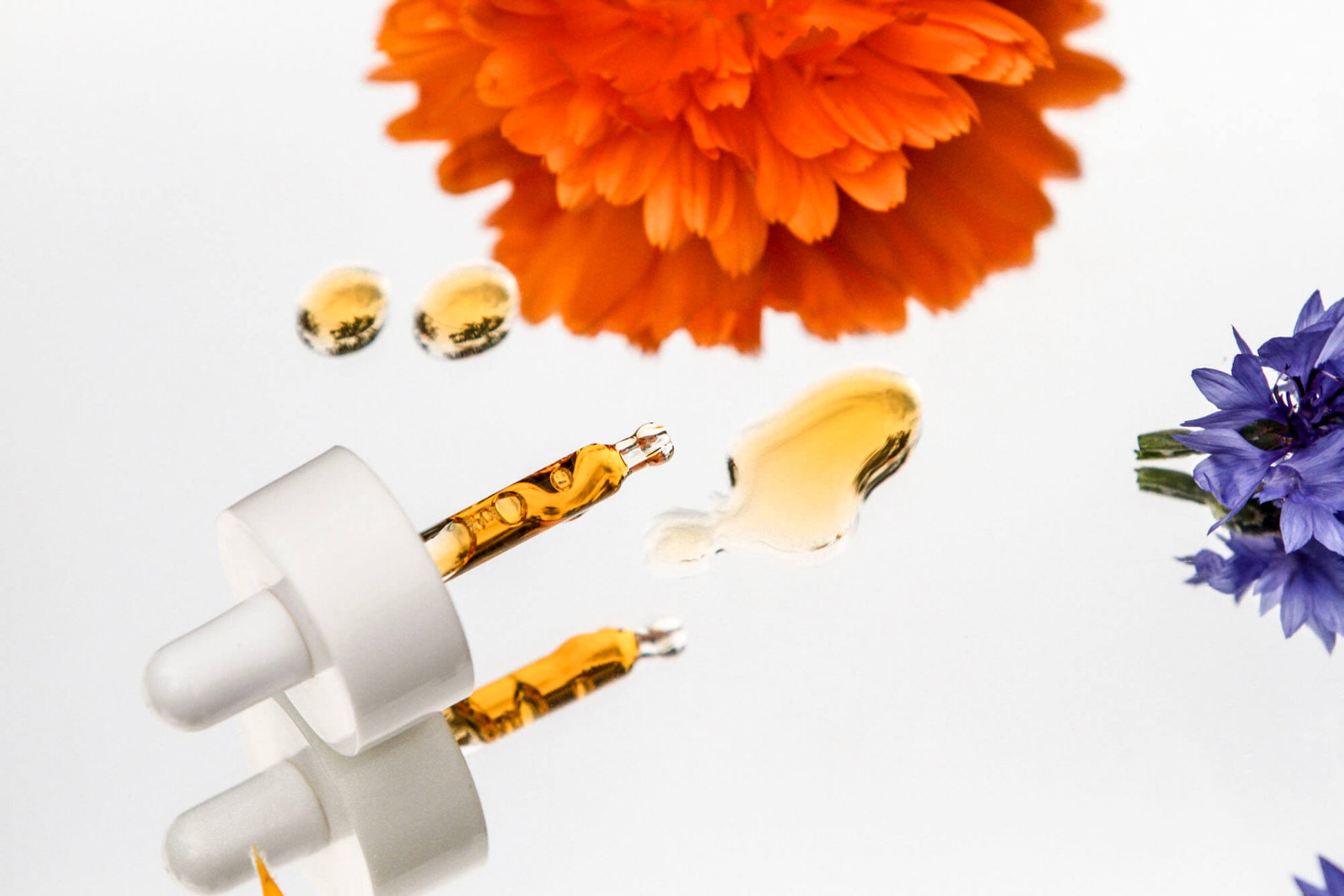 NÖRRE NORDIC - REVIVE Brightening Antioxidant Face Oil Serum