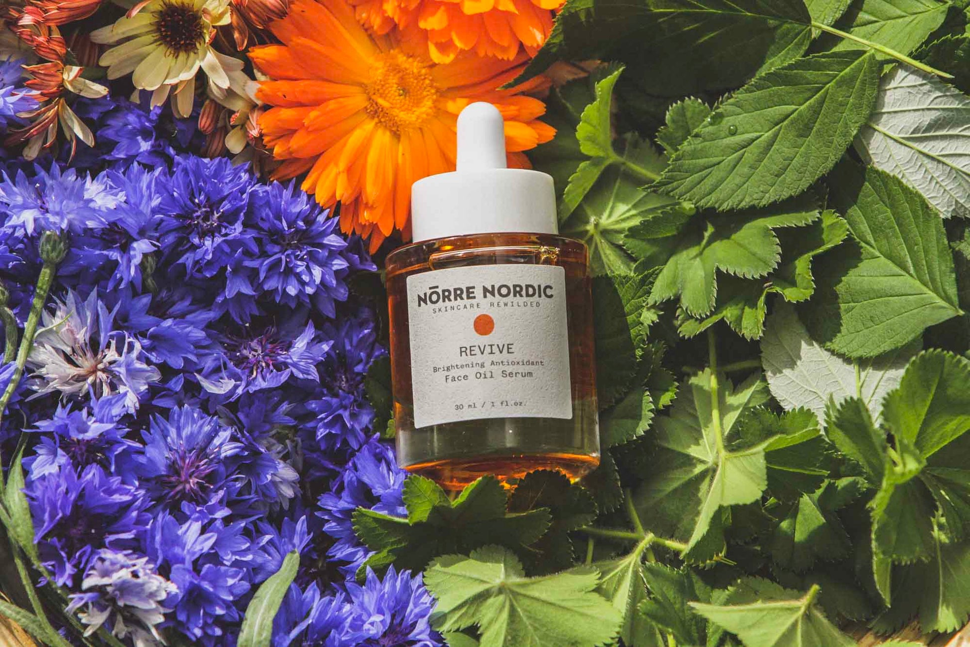 NÖRRE NORDIC - REVIVE Brightening Antioxidant Face Oil Serum